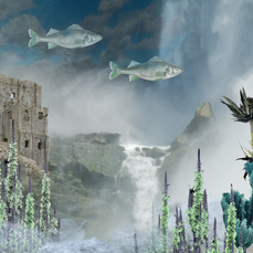 flying fish castle
